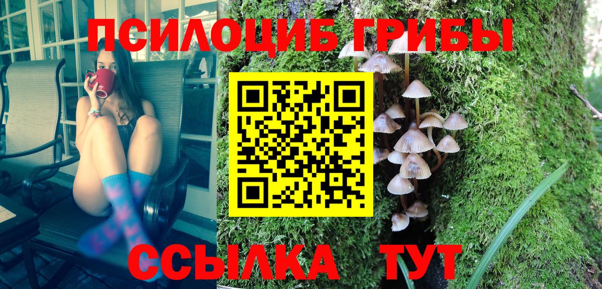 Псилоцибиновые грибы GOLDEN TEACHER Ефремов