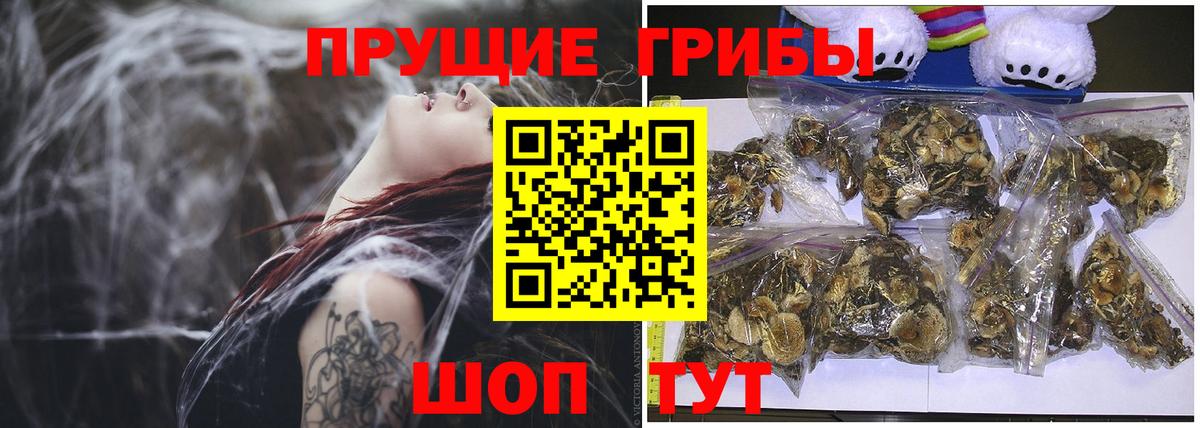 Псилоцибиновые грибы GOLDEN TEACHER  Вход с VPN  Ефремов 